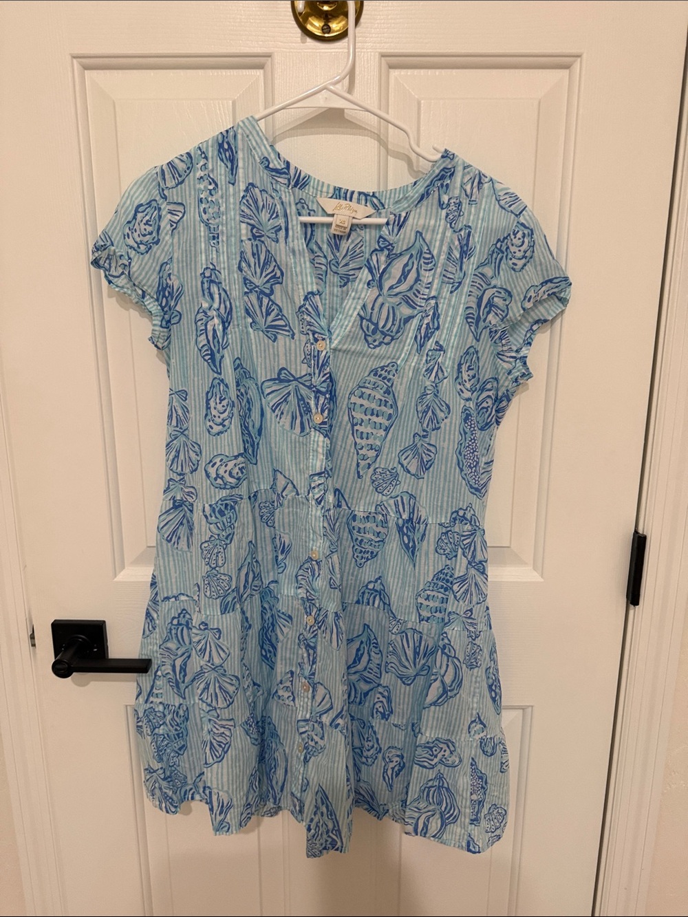 Lilly Pulitzer Aqua and Navy Striped Shell-Print Dress